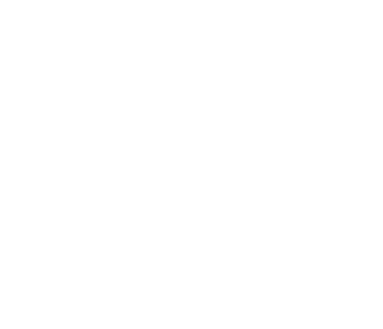 Новапорт Холдинг